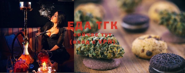 прущие грибы Елизово
