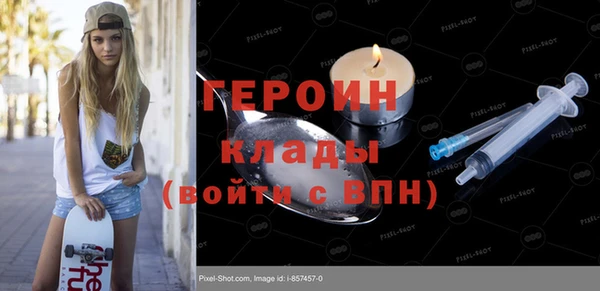 прущие грибы Елизово