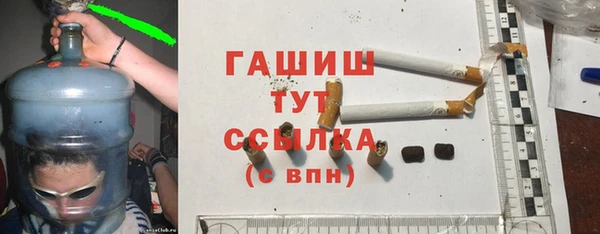 прущие грибы Елизово