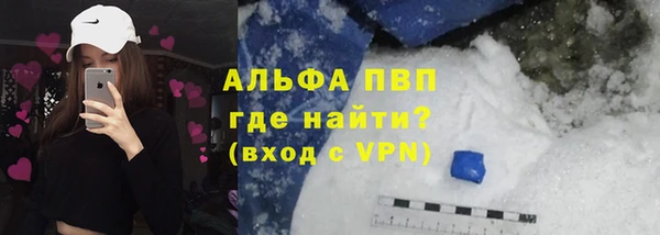 прущие грибы Елизово