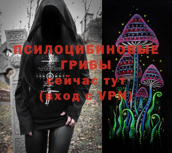 прущие грибы Елизово