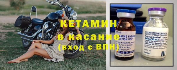 прущие грибы Елизово