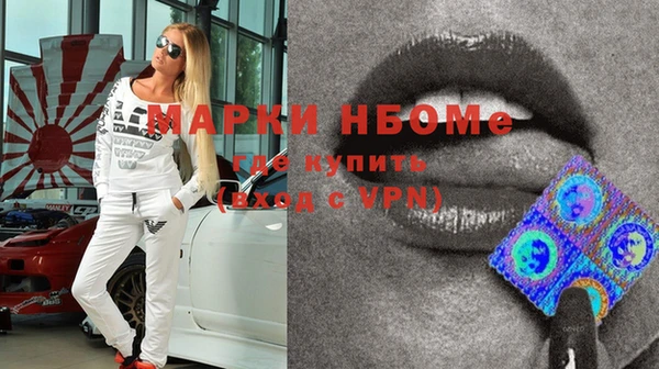 прущие грибы Елизово
