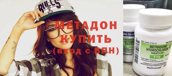 прущие грибы Елизово